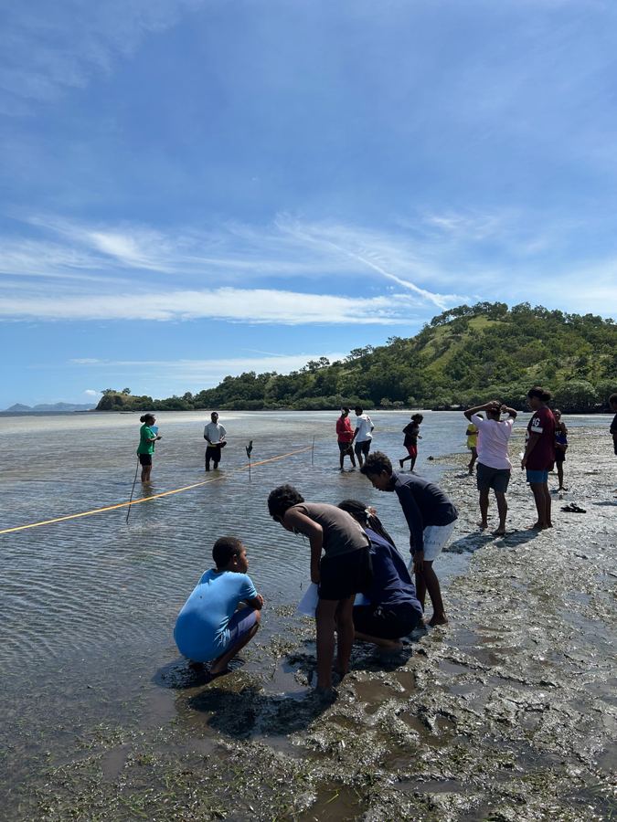 Students exploring the seagrass flats at low tide