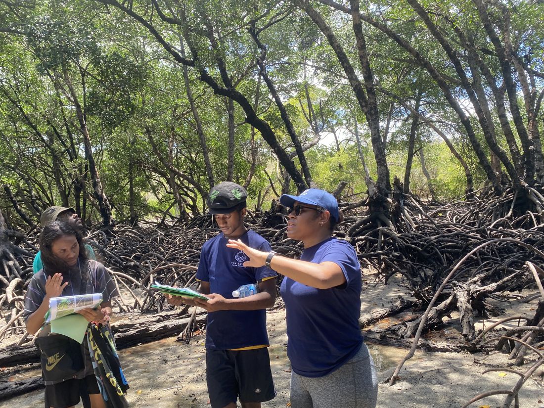 An Eda Davara guide showing students how to use a mangrove identification key in the Kohua mangrove forest