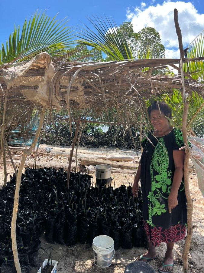 Tau Sunia beside her mangrove seedlings under a palm-leaf shade house