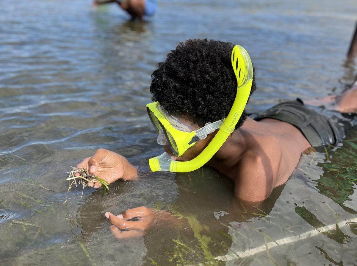 A young snorkeller holding up seagrass in the shallows at Kohua